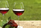 Winery Directory