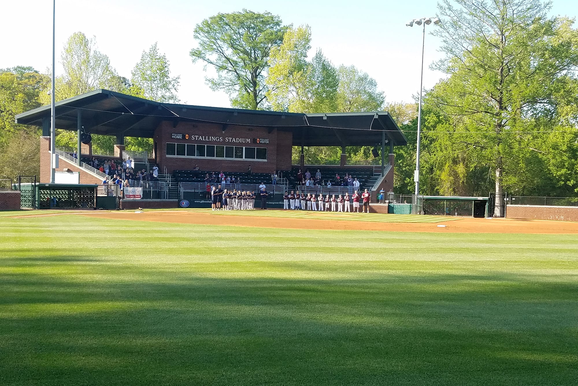 Little League Baseball World Series