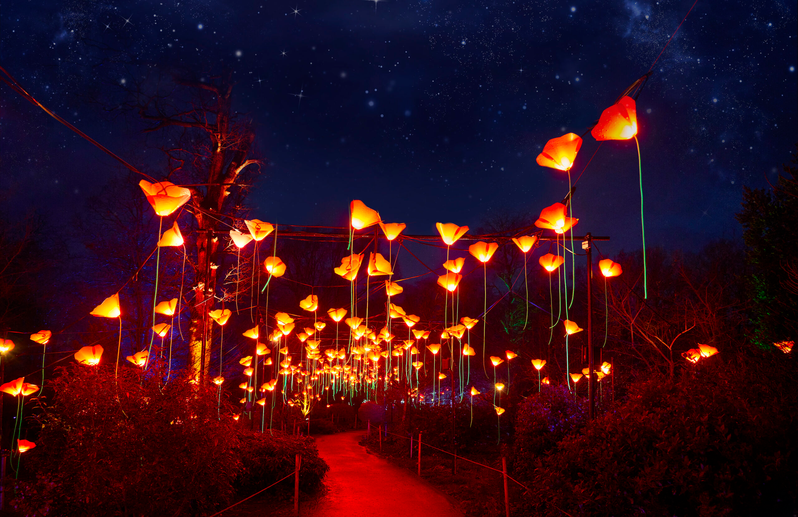Lightscape San Diego 2026